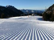 Perfekte Piste in Latemar