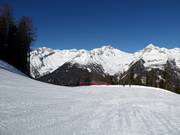 Leichte Familypiste 2
