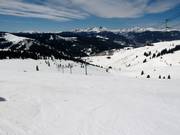 Blick über die Back Bowls von Vail