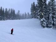 Nachtskifahren Brighton