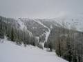 Pisten Schweitzer Mountain Resort