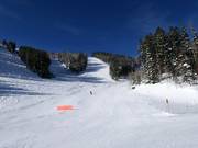 Piste am Wasatch Express