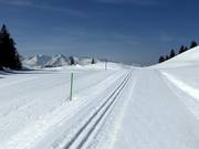 Loipen an der Bergstation Danusa