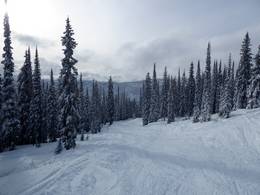 Whitewater – Nelson