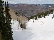 Freeride- und Tiefschneeabfahrt