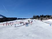 Tipp für die Kleinen  - ArBär-Kinderland