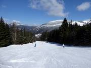 Mittelschwere Piste Červená FIS