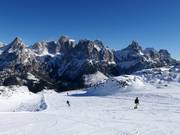 Blick auf die Pala di San Martino (Palagruppe)