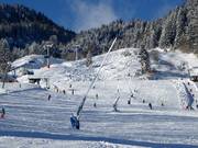 Lanzenbeschneiung in Wegscheid