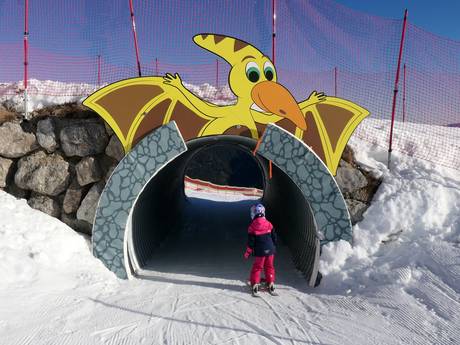 Familienskigebiete Traunstein – Familien und Kinder Steinplatte Winklmoosalm – Waidring/Reit im Winkl