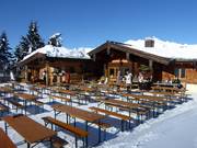 Berghütten Tipp Harschbichlalm