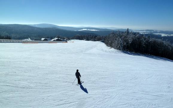 Bestes Skigebiet im Landkreis Freyung-Grafenau – Testbericht Mitterdorf (Almberg) – Mitterfirmiansreut