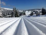 Traumpiste am Grafenmatt
