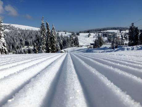 Pistenpräparierung Todtnau – Pistenpräparierung Feldberg – Seebuck/Grafenmatt/Fahl