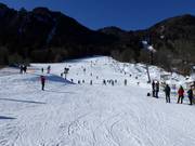 Übungspiste am Streidlhang