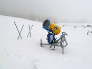 Schneekanone am Steckenberg