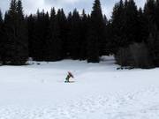 Igman 4 - Seillift/Babylift mit niederer Seilführung