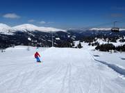 Piste Schafnase