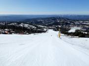 Piste Bøseterbakken Nr. 28
