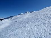 Weite Hänge am Klingenstock