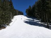 Schwarze Piste Neklid Karásek II.