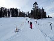 Skilift Barmsee - Seillift/Babylift mit niederer Seilführung