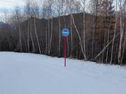 Pistenausschilderung in Aprica