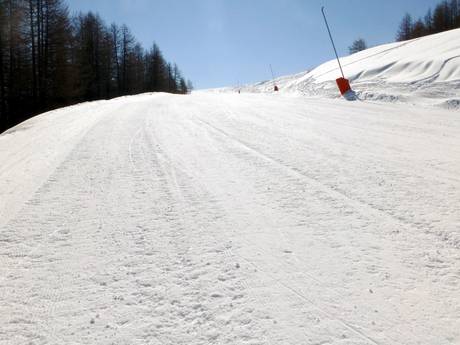 Skigebiete für Anfänger im Département Alpes-Maritimes – Anfänger Auron (Saint-Etienne-de-Tinée)
