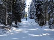 Skilift Vigil I (Seehof) - Tellerlift
