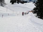 Übungslift Obergassalm - Seillift/Babylift mit niederer Seilführung
