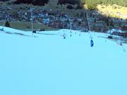 Schneilanzen im Talbereich