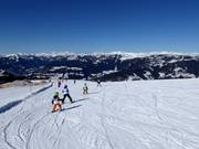 Leichte Neugartenabfahrt