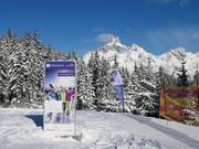 Photopoint mit Bischofsmütze im Hintergrund