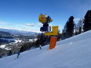 Schneekanone im Skigebiet Carezza