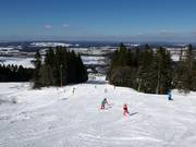 Leichte Bucklwies-Abfahrt