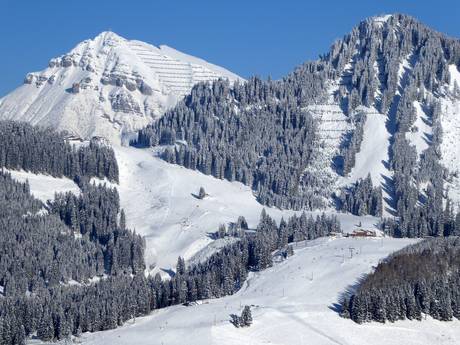 Zugspitz Arena Bayern-Tirol: Größe der Skigebiete – Größe Berwang/Bichlbach/Rinnen