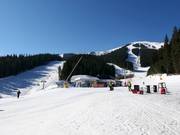 Rund um Shiligarnika