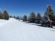 Verbindungspiste Nr. 12 Gobelja