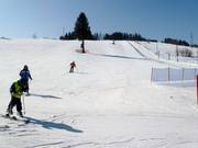 Leichte Piste in Kaniówka