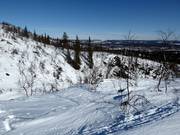 Freier Skiraum/Tiefschneefahren