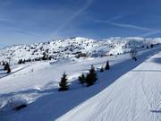 Blick von der Piste S. Antonio Richtung Cima Paganella