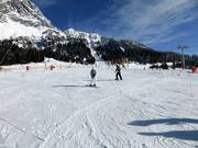 Anfängergelände auf der Ehrwalder Alm