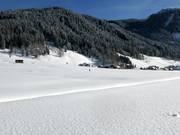 Langlauf in der Winterlandschaft in Gosau