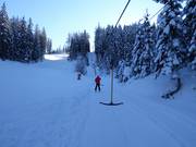 Starnberglift 2 - Schlepplift mit T-Bügel/Anker