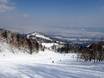 Ostasien: Testberichte von Skigebieten – Testbericht Furano