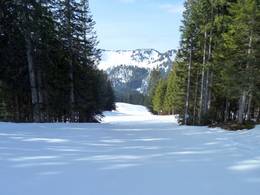 Balderschwang – Hochschelpen/Riedberger Horn