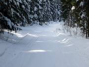 Im Waldgebiet von Altglashütten erstrecken sich einige Loipen.