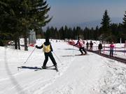 Förderband Mecha Poliana zum Üben in der Nähe von Aleko