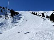 Weißpriacher-Steilhang