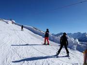 Minilift/Zubringer 150er - Seillift/Babylift mit niederer Seilführung